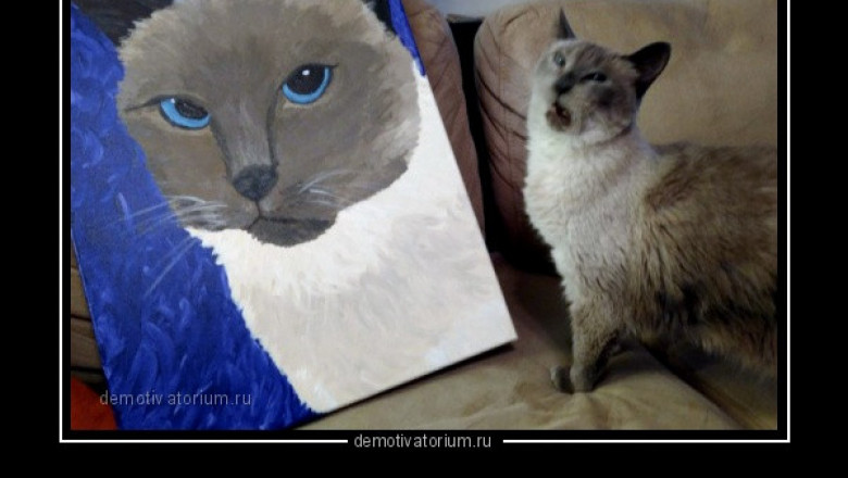 Заказчик остался недовольный