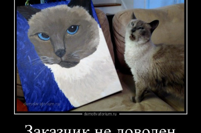 Заказчик остался недовольный