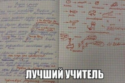 Заметки в школьных тетрадях