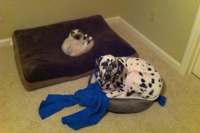 Где справедливость