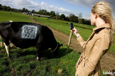 Надписи на корове