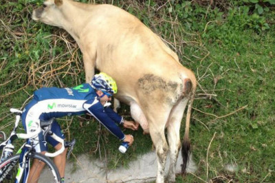 Несанкционированный отбор молока