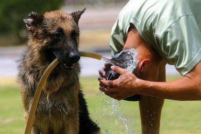 Помощь друга