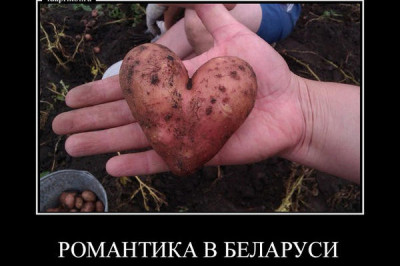 Романтика в Беларуси