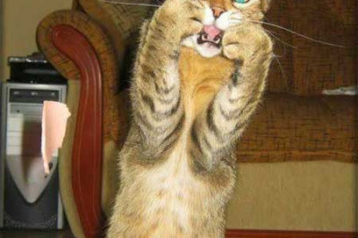 Весь вкус картинки в ее названии