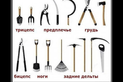 Доступный фитнес