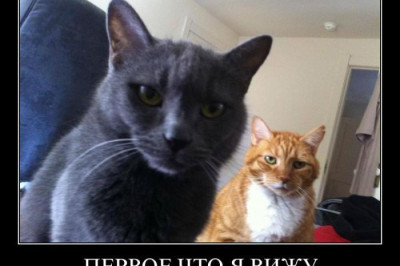 Как начинается утро