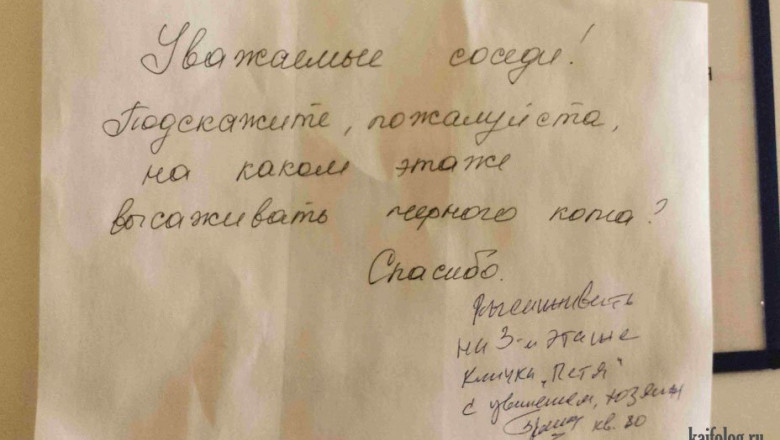 Объявления в подъезде