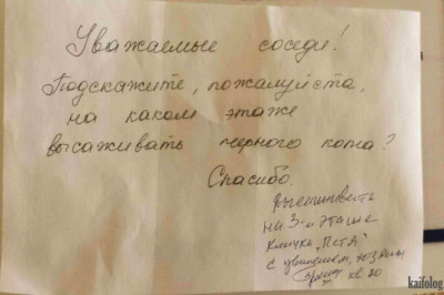 Объявления в подъезде