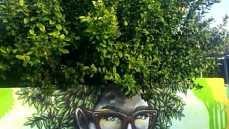 Подборка прикольных фотоснимков 