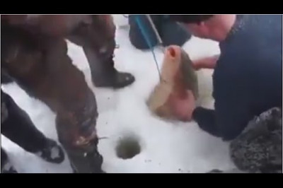 Зимняя рыбалка удалась на славу