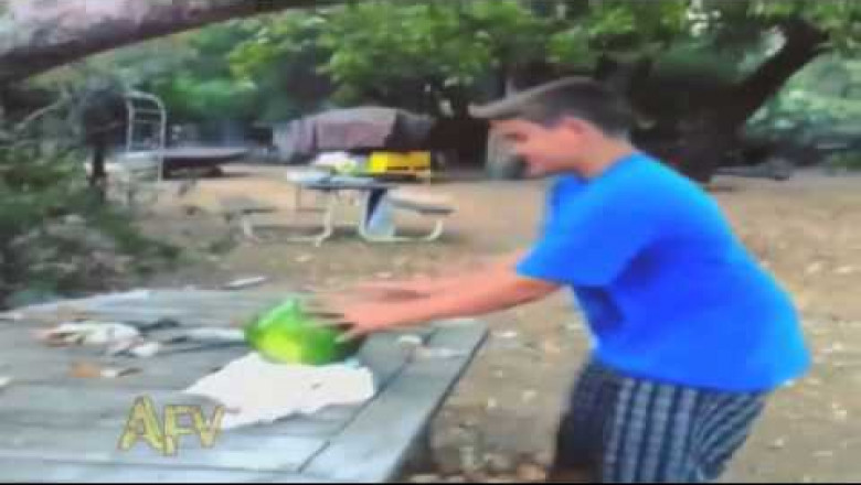 Арбузный ниндзя