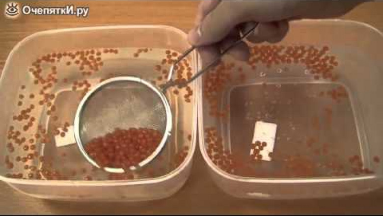 Делаем икру из газировки и сока