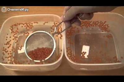 Делаем икру из газировки и сока