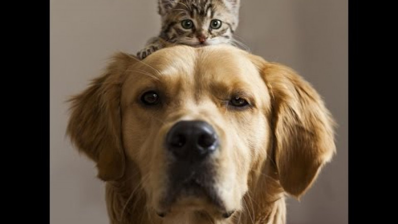 Ехал Грека через реку