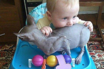 Голод не тетка