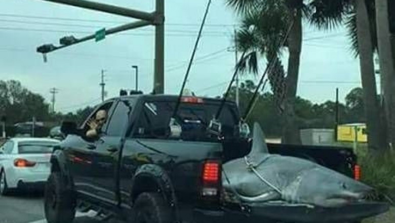 И вдруг увидел такое ....