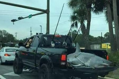 И вдруг увидел такое ....