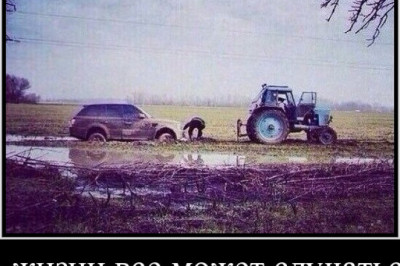 Настоящая дружба