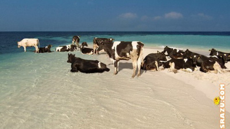 Отдых на море