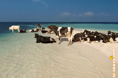 Отдых на море