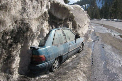 Первые подснежники