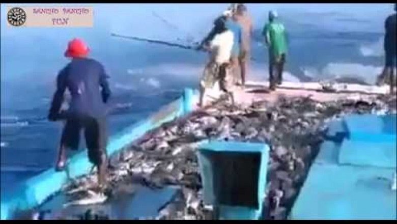 Рыбаки ловили рыбу...