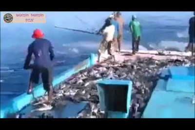 Рыбаки ловили рыбу...