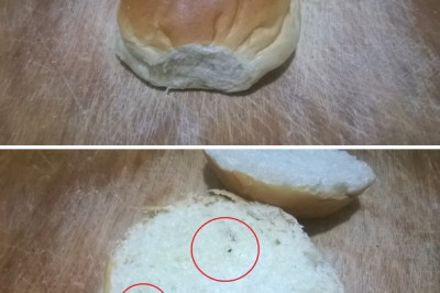 Купил булку с маком а там