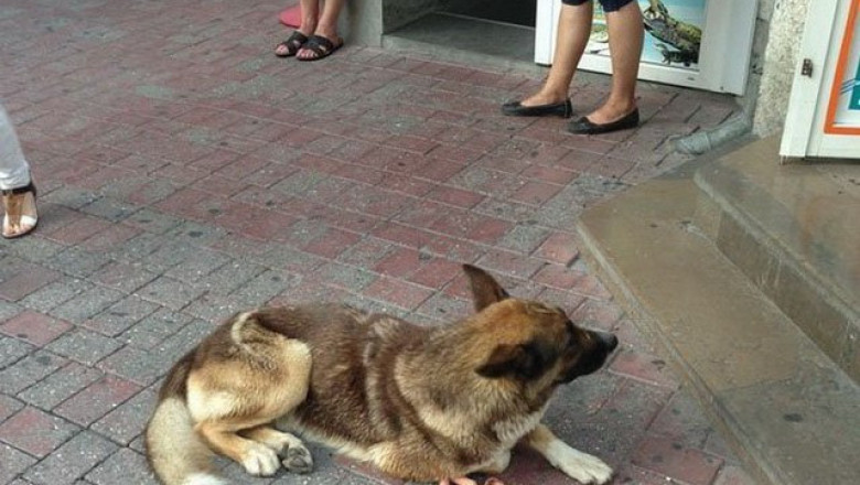 Как выглядит щедрость