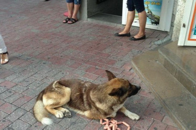 Как выглядит щедрость