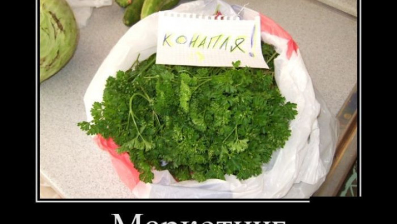 Маркетинг это искусство