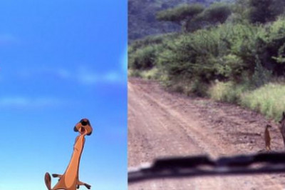 Тимон и Пумба