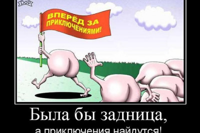 В поисках веселой жизни