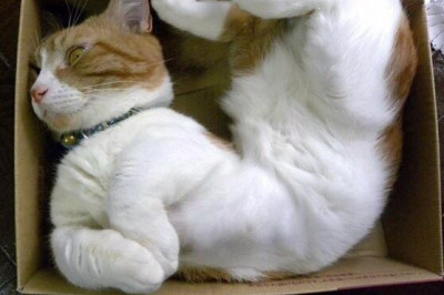 Комфортно и удобно