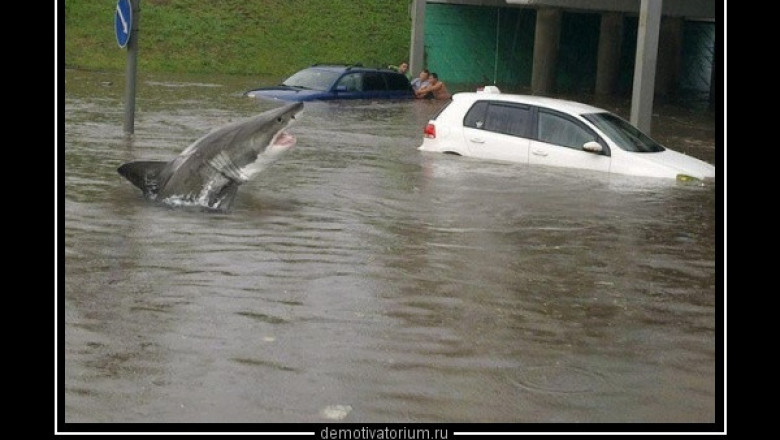 Внезапное появление