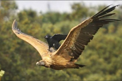 Ленивому всегда праздник