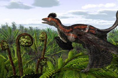 Былые времена