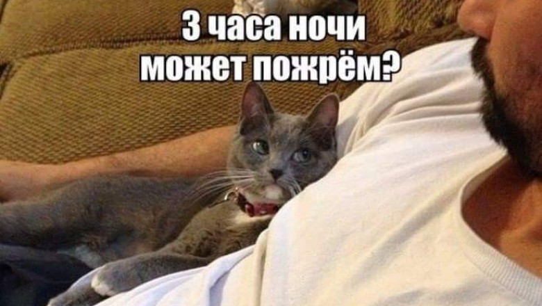 Фотомены для хорошего настроения .