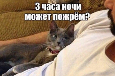 Фотомены для хорошего настроения .