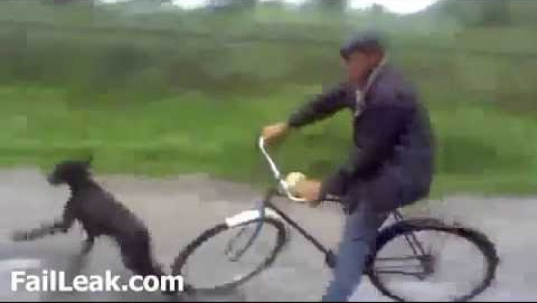 Мужик на велике ехал и упал