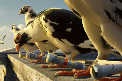 Новости от голубиной почты