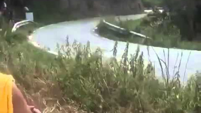 Заяц спешит за автомобилем