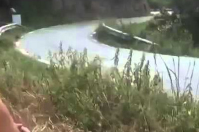 Заяц спешит за автомобилем