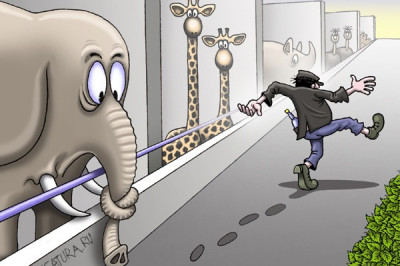 Бывает, что и слон убегает