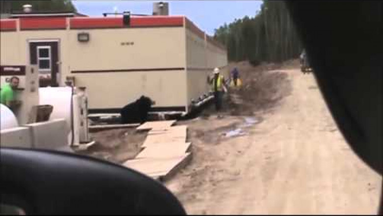 Человек переодетый в медведя здорово напугал строителя