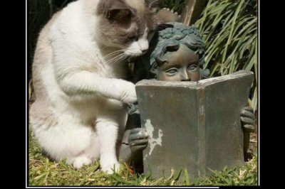 Переворачивая страницы