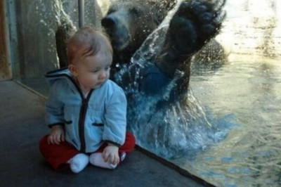 Выжить любой ценой