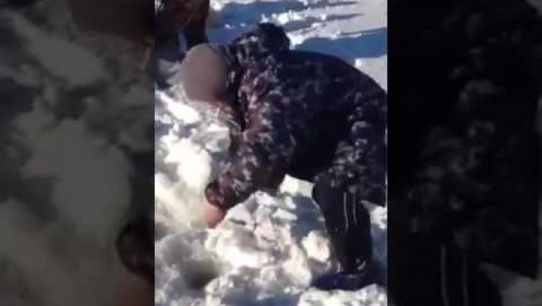 Зимняя рыбалка на хищника