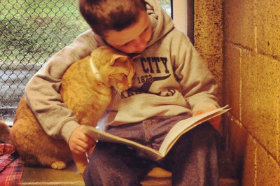 Коты и дети